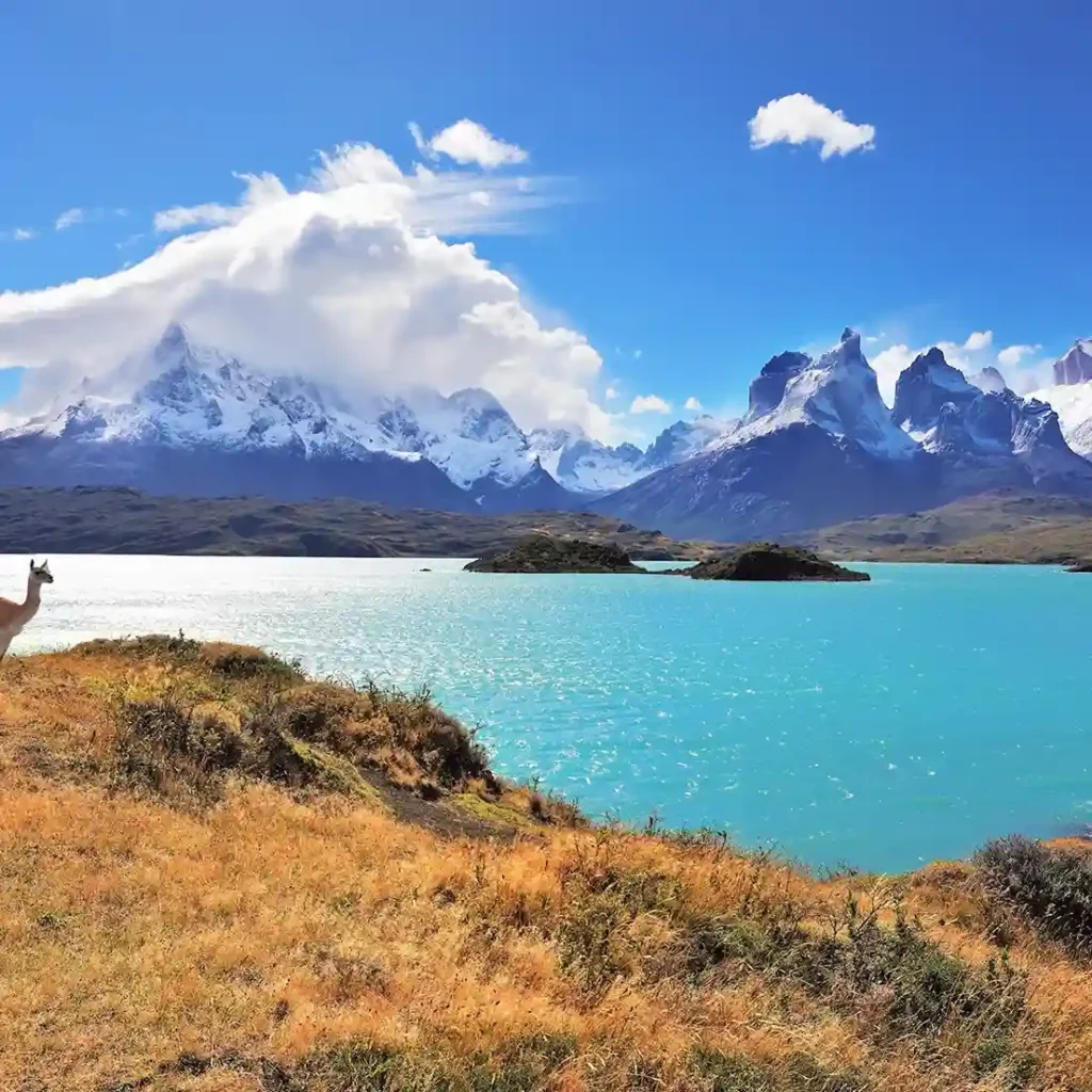 wonders-patagonia-guided-tour