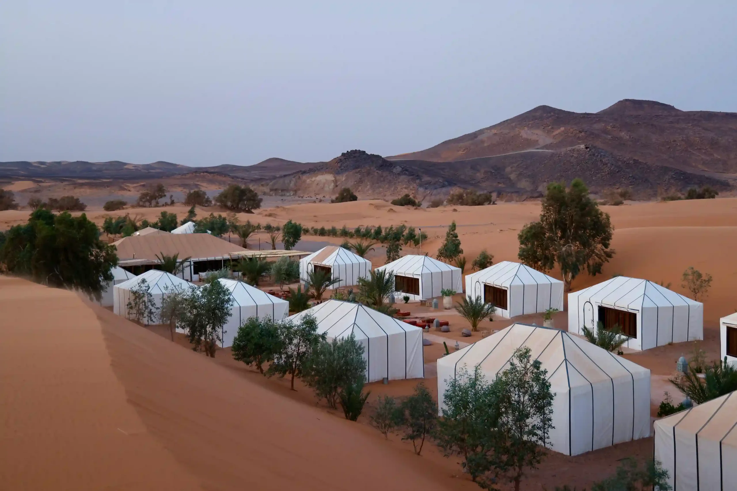 Luxury glamping tents in a desert safari camp at sunset
