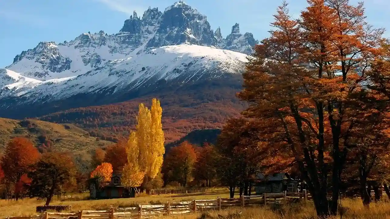 Outdoor autumn festival with local crafts, stalls, and visitors in a Patagonia-style setting.